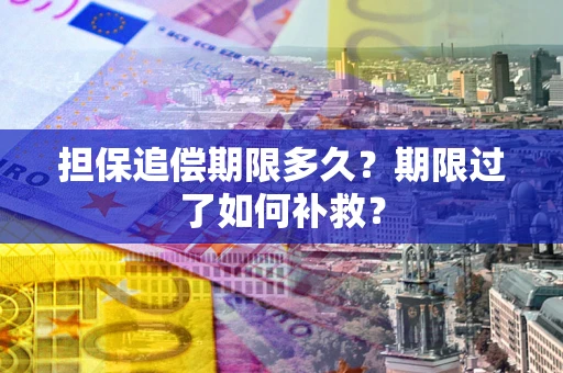 济南担保追偿期限多久？期限过了如何补救？
