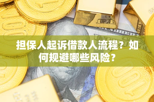 济南担保人起诉借款人流程？如何规避哪些风险？